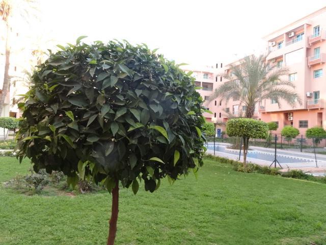 Apartment Twins 12 Marrakesch Exterior foto
